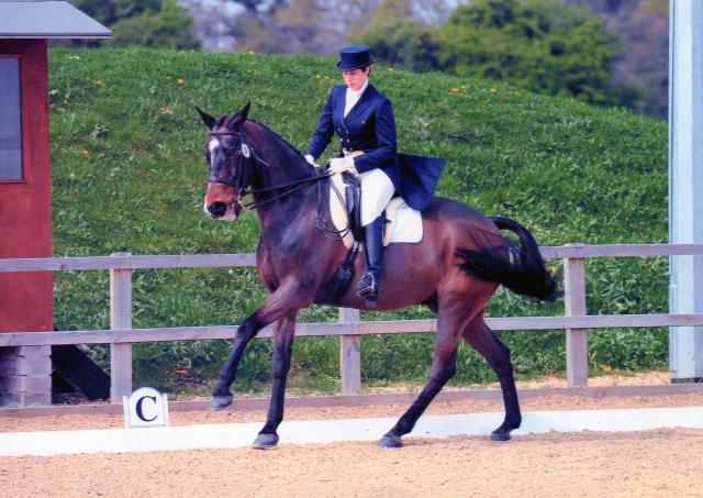 Elsbeth_and_Benson_dressage.jpg